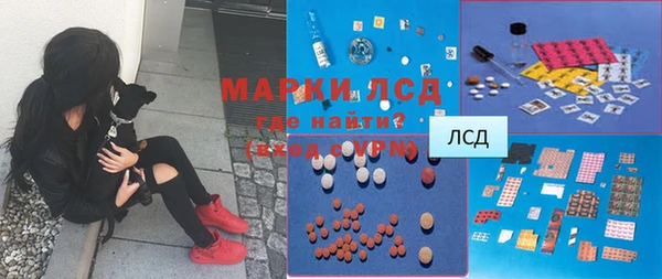 винт Алзамай
