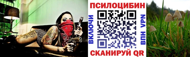 Псилоцибиновые грибы ЛСД  Бирюч 